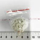 8*nhCh􃊃t҂݃{[`[@13