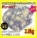 Y{[rэ|zcVOOTCY150~210cm2.0kg