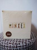 MINEX EBbO@߰ݸ