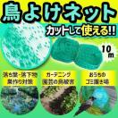 悯lbg lbg 10 悯 | K[fjO S~u b ΍  Q x_ oRj[ 