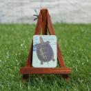 Viy}OlbgzTurtle^J@-NTK-