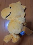 Vi?Xk[s[EbhXgbNBIGʂ݁