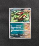 �|�P�J�@�ό��̉��ʁ@�A���u���^�P