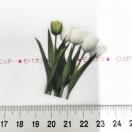 �`���[���b�v�̃R���[�W���V�[���@335