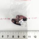 10*�K���X�r�[�Y�@25