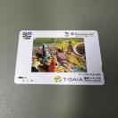 �y���������z�N�I�J�[�h 1000�~