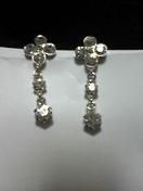 �V���o�[�C�������O