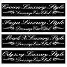 クラウン・オデッセイ Luxury Style  30センチ