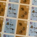 2399LO؎1240~(62~؎)