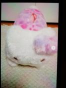 etFCXhbhtRĂbV΁[sNn