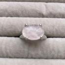 �V�R�Ύw�ց@�����O�@16��