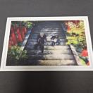 Vi p ʁEʐ ʎ(OPEED) |XgJ[h ClDY Pi