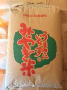 �ߘa7�N�x �{�錧�Y �ЂƂ߂ڂ� ���� 10kg ��������