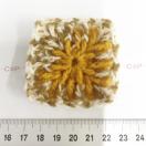 5*�n���h���C�h*�ю��̃O���j�[�X�N�G�A���`�[�t�@���ۉ敗�@18