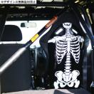 [ï() ޹RECAROڶSPG SP-GN RSG