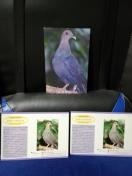 y|XgJ[hzAJKVJXog@3Zbg