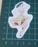 60�f���@�s���i�b�v�E�K�[���@���@�X�e�b�J�[