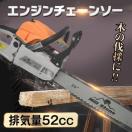 `F[\[ IC GW 20C` 52cc   } ۑ d ؒfH KCho[ \[`F