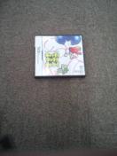 【NDS】キャッチタッチヨッシー マリオ
