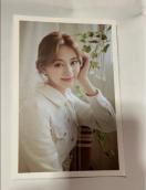 TWICE �c�E�B�@�����|�X�g�J�[�h�@Yes I am �C