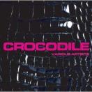 sCROCODILEtBES BEAR MAN KING-K y QGn^[`X WpQ reggae QG