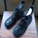 Vi 22.5cm fB[X u[c ubN  V[Y V[gu[c