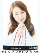 yAKB48/э؁z2016N܁ʐ^