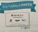 ׂPay/1000~500l10