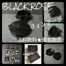 KNEMgCEwAsEfRV[Ȃ10_