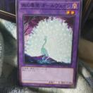 遊戯王 オールヴェイン