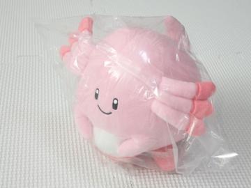 |PbgX^[ J[ZNVʂ pink bL[