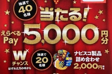 �^�C�A�b�v������ׂ�pay5000�~/���َq�l�ߍ��킹/60���l5��