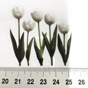 ׽ā����د�߂̺װ�ޭ��ف@389