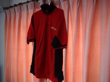 SWingster̐Ԃƍ̃|VciL)IB