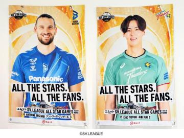 �I��摜����t���b�O �A���g���[�k�E�u���U�[���I�� �~ �i�I ���H�I��