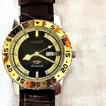 gpCITIZEN automatic @B24kgf x[[bNvxgU[YrvL