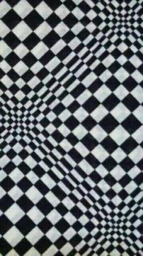 ���V�i���o���_�i���􉽊w����black/white��