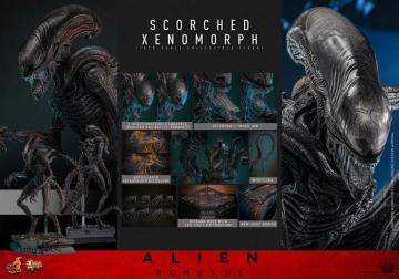 �z�b�g�g�C�Y MMS784 �G�C���A���F�������X �X�R�[�`�h�E�[�m���[�t1/6 Alien Romulus xenomorph