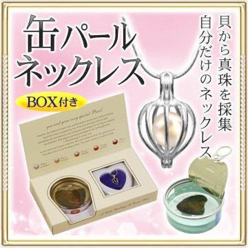 lbNX ^̊ʋl Lbg EɈ̐^ANZ 5`8mm MtgBOX G fB[X