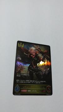 SHADOWVERSEEVOLVE(VhEo[XG{)̃on[g@BIZCo[EAx[@LG1