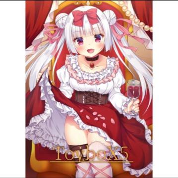 l ToyboX5  ԎJ q IWi  GAR~P2