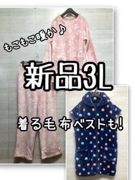 Vi3L[EGA㉺ѕz[xXgQ588