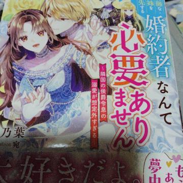 �a��ȏ]����D�悷�鍥��҂Ȃ�ĕK�v����܂���