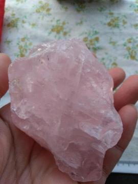 �V�R�΁@���[�Y�N�H�[�c����