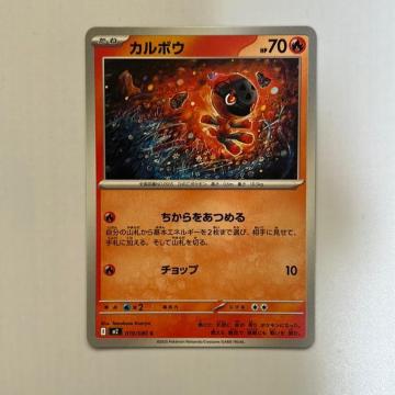 �|�P�����J�[�h�@�J���{�E