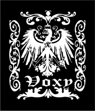 VOXYEHNV[ޖ̓IWiXebJ[