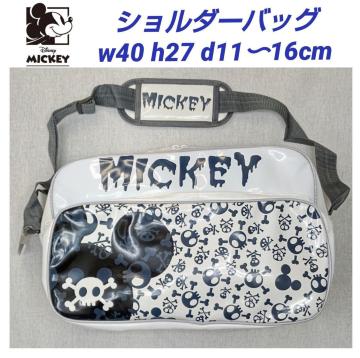 ~bL[V_[obObZW[obOfBYj[ъԊwZʊwʋ΁󂠂聚DisneyVigp