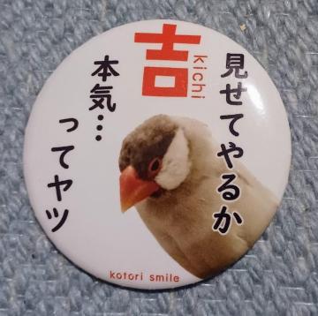 當oba@