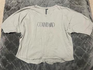 タンス整理品 衣類 おまとめOK ホームクリーニング済み レディース Tシャツ LLサイズ ブラウン