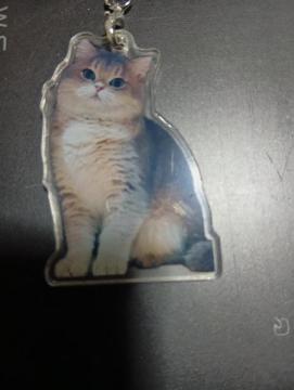 L̃L[z_[